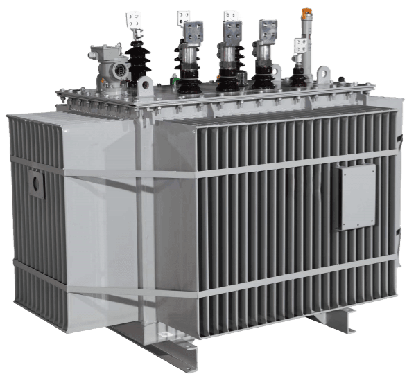 AFC01-TF(12)